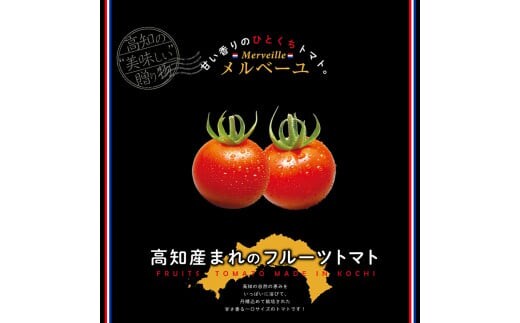 高知産フルーツトマト「メルベーユ」約1.5kg 糖度9度以上！【s-kensyo】数量限定 期間限定 故郷納税 高糖度 野菜 とまと 甘さ ミニトマト 甘い フルティカ