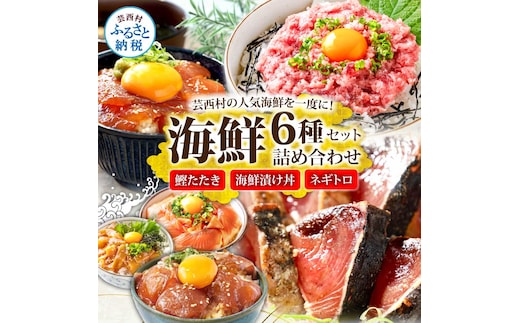 かつおのたたき600g ネギトロ80gx2P 漬け丼の素80g×4P 海鮮セット カツオのタタキ ねぎとろ 真鯛 たい まぐろ マグロ サーモン イカ いか 刺身 魚 海鮮丼 魚介 小分け おかず 個包装 パック 冷凍配送