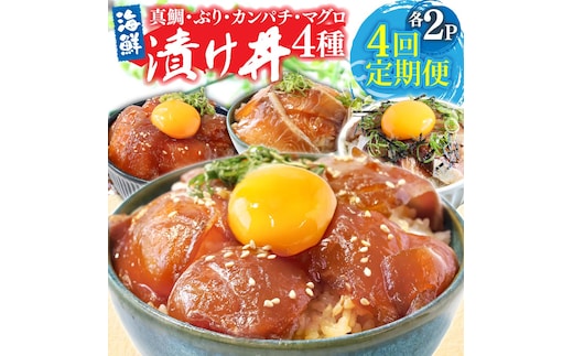 漬け丼セット4種 80g×各2P 4回定期便 海鮮丼 海鮮丼セット 真鯛 ブリ カンパチ マグロ 海鮮 漬け お茶漬け 鯛 ぶり 鰤 勘八 かんぱち まぐろ 小分け パック ご飯 晩御飯 惣菜 刺身 冷凍 配送