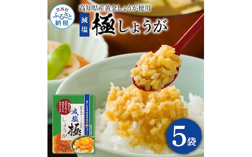 減塩味付け極しょうが110g×5袋 - 減塩 しょうが ショウガ 生姜 生ふりかけ 坂田信夫商店 黄金しょうが 高知 国産 料理 おかず 調味料 ご飯のお供 混ぜご飯 刻み生姜 健康 話題