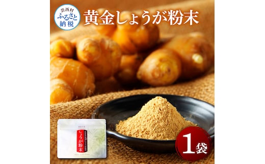 黄金しょうが粉末50g×1袋 - しょうが ショウガ 生姜 生姜パウダー 坂田信夫商店 黄金しょうが 高知 国産 料理 紅茶 しょうが湯 健康 美容 ふるさとのうぜい 故郷納税 3000円 返礼品