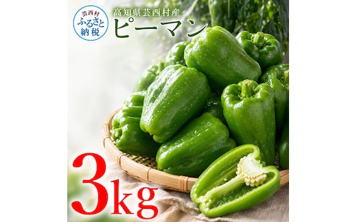 ピーマン 3kg P.SUKE（ピースケ）野菜 新鮮 みずみずしい 肉厚 料理 サラダ スティック野菜 野菜炒め 肉詰め 青椒肉絲 高知県 芸西村