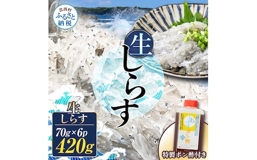 生しらす 70g×6P 特製ぽん酢 1本 シラス 小分け とれたて 国産 しらす丼 海鮮丼 ごはん ご飯 おかず 離乳食 お取り寄せ 美味しい 冷凍 配送 高知県