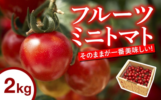 【四万十川源流域で育まれた】絶品フルーツミニトマト 約2kg