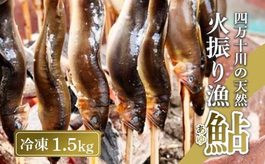 四万十川上流の天然鮎 新もの冷凍 火振り漁鮎 1.5kg ( 5～18尾 ) 鮎 あゆ アユ 川魚 高知県 四万十 天然 冷凍