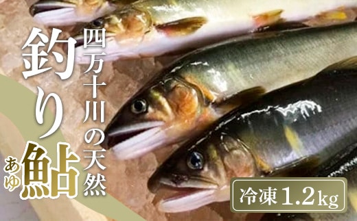 四万十川上流の天然鮎 釣り鮎 ( 1.2kg 冷凍 5～18尾 ) 鮎 あゆ アユ 川魚 高知県 四万十 天然