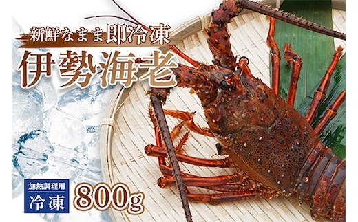 伊勢海老 ( 冷凍 ) お味噌汁用 約 800g エビ えび 家庭用 訳あり 加熱用