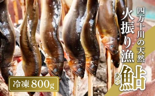 四万十川上流の天然鮎 新もの冷凍 火振り漁鮎 800g ( 4～12尾 ) 鮎 あゆ アユ 川魚 高知県 四万十 天然 冷凍