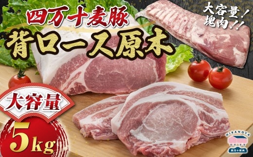 【期間限定】四万十麦豚 背ロース原木 約5kg ／Ahc-A23