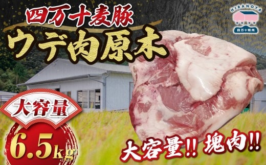 【期間限定】四万十麦豚 ウデ肉原木 約6.5kg／Ahc-A27