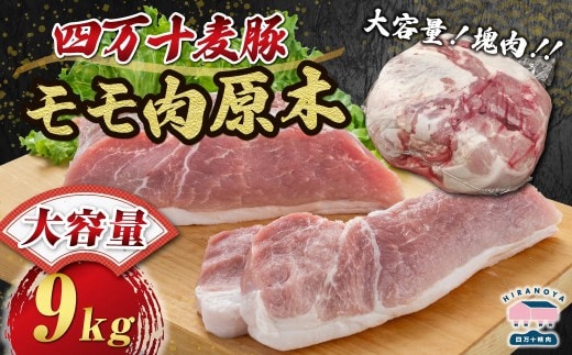 【期間限定】四万十麦豚モモ肉原木約9kg／Ahc-A28