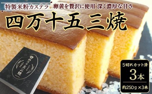 特製米粉かすてら 四万十五三焼 （約250g×3本）／Bmu-78