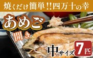 焼くだけ簡単！無投薬で四万十育ちのあめごの開き　中サイズ７匹／Eay-04