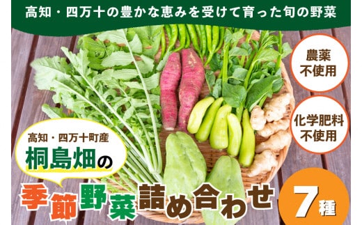 【栽培期間中、農薬・化学肥料不使用】桐島畑の季節野菜詰め合わせ(7種類)／Fkh-10 
