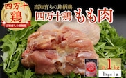 ★高知育ちの銘柄鶏 四万十鶏★もも肉1kg　／Adf-B29