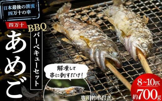 子どもが喜ぶバーベキュー！清流育ちの四万十あめご【BBQ専用竹串付き】 ／Eay-01