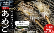 子どもが喜ぶバーベキュー！清流育ちの四万十あめご【BBQ専用竹串付き】 ／Eay-01
