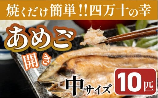 焼くだけ簡単！無投薬で四万十育ちのあめごの開き 中サイズ10匹 ／Eay-07
