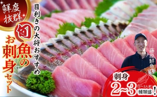 旬な海の幸をお届け！大将のおまかせ刺身2～3種類盛！ 鮮魚 海鮮丼 魚 お魚 魚介類 冷蔵 2人前 カツオ 鰹 鰹のたたき マグロ ブリ カンパチ 即日発送 ／Efs-01