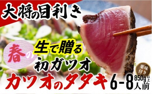 【予約受付】【生の鮮度】初ガツオのタタキ6-8人前（薬味付き）【冷蔵】 ／Efs-12