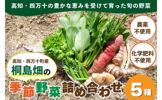 【栽培期間中、農薬・化学肥料不使用】桐島畑の季節野菜詰め合わせ(5種類)／Fkh-A07