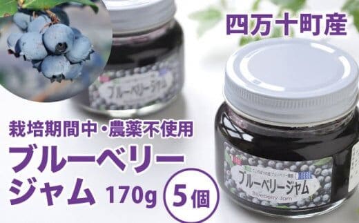 【2026年産／栽培期間中 農薬不使用ブルーベリー使用】手づくりブルーベリージャム（170g×5個）／Qdr-92