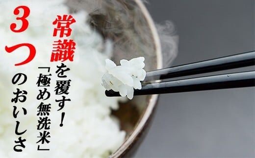 【3ヵ月便】罪悪感は必要ナシ！賢い選択「四万十町産 無洗米」5kg ／Sbos-Z01