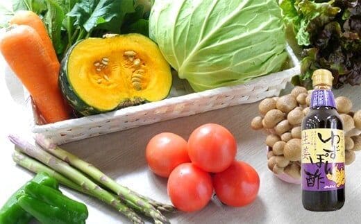 特製ポン酢つき！安心安全の地どれ野菜【旬が香る7種セット】 ／Qjs-05