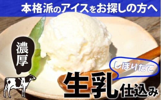 搾りたて生乳仕込みの濃厚ミルクアイス フレッシュみるく6個セット ／Qak-A32