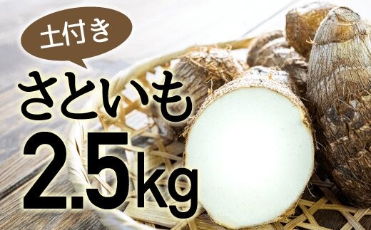 四万十町産「土付きさといも」2.5㎏／Fiz-B03