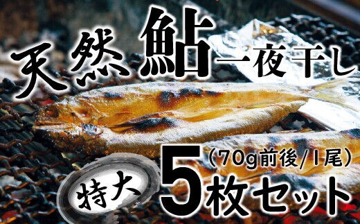 四万十川の天然鮎 特大サイズ一夜干し5枚セット ／Esg-A27