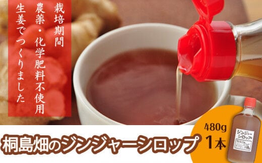 栽培期間農薬・化学肥料不使用の生姜で作った「桐島畑のジンジャーシロップ」480g×1本／Fkh-A08