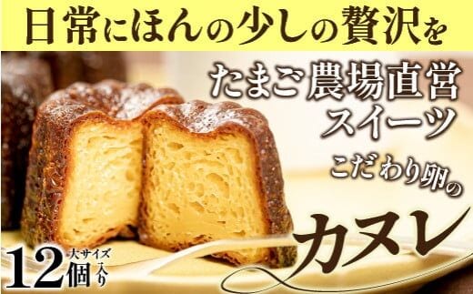 たまご農場直営スイーツ!こだわり卵の食べ応え抜群!大きなカヌレ 12個／Gbn-41