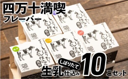 搾りたて生乳仕込みの濃厚ミルクアイス四万十満喫フレーバー5種10個セット／Qak-35
