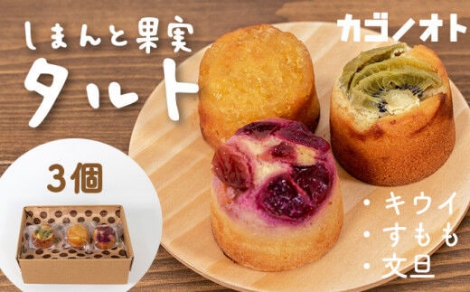 【しまんと果実／エコ包装】タルト（3個入：キウイ・すもも・文旦）カゴノオト／Ikg-Z97