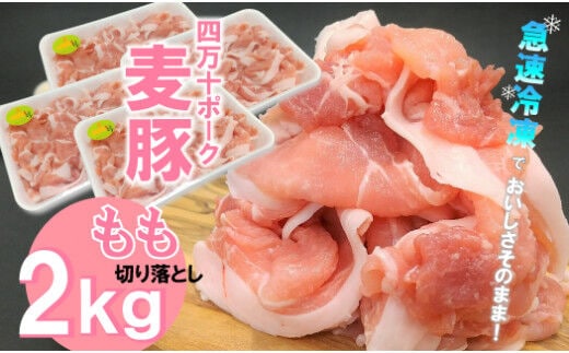 平野協同畜産の「麦豚」 豚もも切り落とし 2kg（500g×4パック）／Ahc-07