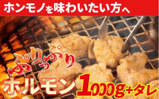 大人気焼肉屋さんのご家庭で簡単！モツ焼き肉セット1000g ／Amu-03