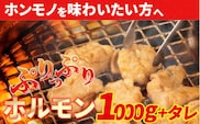 大人気焼肉屋さんのご家庭で簡単！モツ焼き肉セット1000g　／Amu-A03