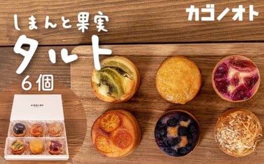 【しまんと果実／ギフト用】タルト（6個入：キウイ・すもも・文旦・ブルーベリー、金柑、ジンジャーラムナッツ）カゴノオト／Ikg-95