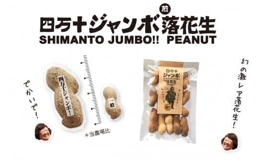 新豆 激レア！四万十ジャンボ煎り落花生 煎りたてオーダー焙煎直送 ／Fsy-A08