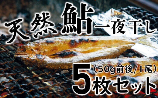 頭からガブッと！四万十川の天然小鮎 一夜干し5枚セット ／Esg-A25