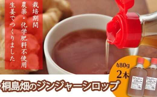 栽培期間農薬・化学肥料不使用の生姜で作った「桐島畑のジンジャーシロップ」480g×2本／Fkh-A05