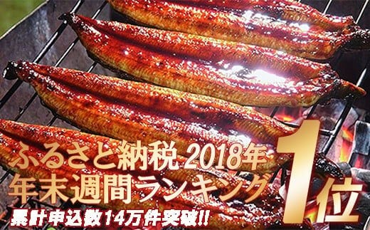 ふるさと納税 焼津市 うなぎ蒲焼・白焼・肝蒲焼セット(a28-002) - 魚介