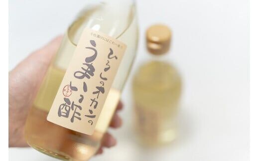 お肉、お魚、お野菜に！絶品甘酢「ひろしのオカンのうまいっ酢」／Lsh-B01