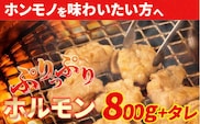 大人気焼肉屋さんのご家庭で簡単！モツ焼き肉セット800g　／Amu-02