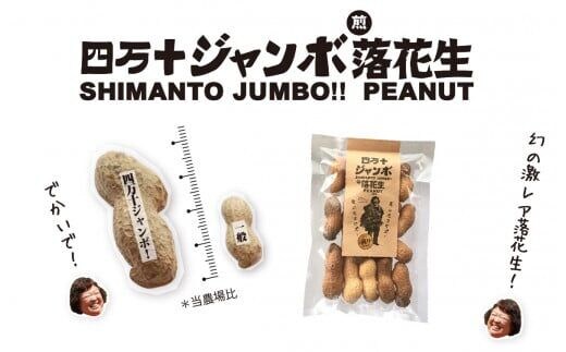 新豆 激レア！四万十ジャンボ煎り落花生 煎りたてオーダー焙煎直送 ／Fsy-09