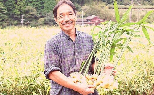 ゆうきのもり生産者こだわりの有機黄金生姜／Ftf-A01