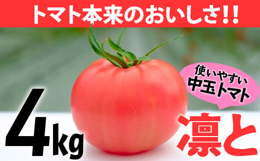  受付4か月で800件超え四万十産トマト「凛と」／Fbg-A003
