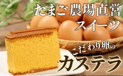 たまご農場直営スイーツ！こだわり卵のカステラ 2個セット(190ｇ×2個) ／Gbn-64