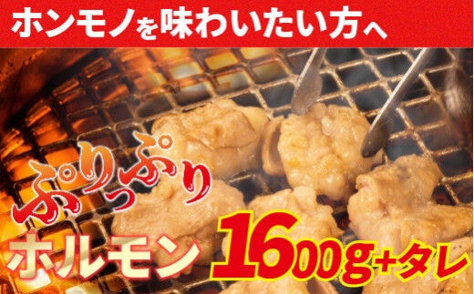 大人気焼肉屋さんのご家庭で簡単！モツ焼き肉セット1600g ／Amu-04